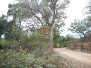 Terreno R�stico - Santa Margarida da Serra, Gr�ndola, Set�bal - Miniatura: 2/9