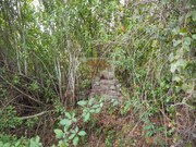 Terreno R�stico - Santa Margarida da Serra, Gr�ndola, Set�bal - Miniatura: 4/9