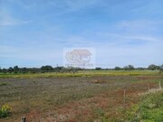 Terreno R�stico - Santa Margarida da Serra, Gr�ndola, Set�bal - Miniatura: 1/9