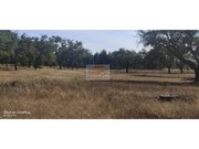 Terreno R�stico - Santa Margarida da Serra, Gr�ndola, Set�bal - Miniatura: 2/9