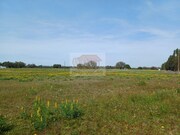 Terreno R�stico - Santa Margarida da Serra, Gr�ndola, Set�bal - Miniatura: 4/9