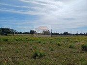 Terreno R�stico - Santa Margarida da Serra, Gr�ndola, Set�bal - Miniatura: 5/9
