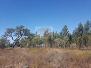 Terreno R�stico - Santa Margarida da Serra, Gr�ndola, Set�bal - Miniatura: 1/9