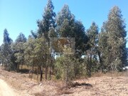 Terreno R�stico - Santa Margarida da Serra, Gr�ndola, Set�bal - Miniatura: 5/9