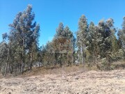 Terreno R�stico - Santa Margarida da Serra, Gr�ndola, Set�bal - Miniatura: 8/9