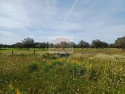 Terreno R�stico - Santa Margarida da Serra, Gr�ndola, Set�bal - Miniatura: 8/9