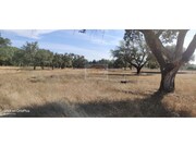Terreno R�stico - Santa Margarida da Serra, Gr�ndola, Set�bal - Miniatura: 9/9