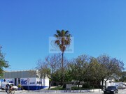Outros - Melides, Gr�ndola, Set�bal - Miniatura: 4/7