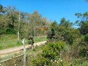 Terreno Rstico - Santa Margarida da Serra, Grndola, Setbal - Miniatura: 1/9