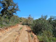 Terreno Rstico - Santa Margarida da Serra, Grndola, Setbal - Miniatura: 5/9