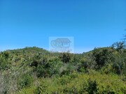 Terreno Rstico - Santa Margarida da Serra, Grndola, Setbal - Miniatura: 6/9