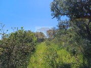 Terreno Rstico - Santa Margarida da Serra, Grndola, Setbal - Miniatura: 8/9