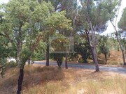 Terreno Rstico - Santa Margarida da Serra, Grndola, Setbal - Miniatura: 2/9