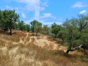 Terreno Rstico - Santa Margarida da Serra, Grndola, Setbal - Miniatura: 4/9