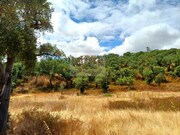 Terreno Rstico - Santa Margarida da Serra, Grndola, Setbal - Miniatura: 7/9