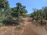 Terreno R�stico - Santa Margarida da Serra, Gr�ndola, Set�bal - Miniatura: 9/9