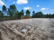 Terreno R�stico - Santa Margarida da Serra, Gr�ndola, Set�bal - Miniatura: 4/9