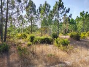 Terreno R�stico - Santa Margarida da Serra, Gr�ndola, Set�bal - Miniatura: 5/9