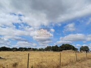 Terreno Urbano - Santa Margarida da Serra, Gr�ndola, Set�bal - Miniatura: 9/9