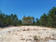 Terreno R�stico - Santa Margarida da Serra, Gr�ndola, Set�bal - Miniatura: 6/9