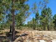 Terreno R�stico - Santa Margarida da Serra, Gr�ndola, Set�bal - Miniatura: 7/9