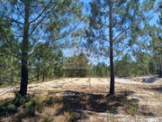Terreno R�stico - Santa Margarida da Serra, Gr�ndola, Set�bal - Miniatura: 8/9