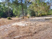 Terreno R�stico - Santa Margarida da Serra, Gr�ndola, Set�bal - Miniatura: 9/9