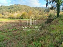 Terreno R�stico - Ossela, Oliveira de Azem�is, Aveiro