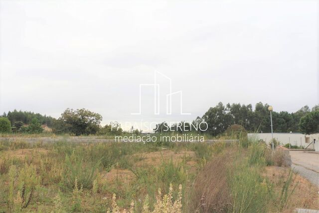 Terreno Rústico - Oliveira de Azemeis, Oliveira de Azeméis, Aveiro - Imagem grande