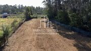 Terreno Rstico - Maceda, Ovar, Aveiro - Miniatura: 2/6