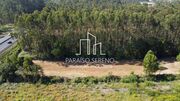 Terreno Rstico - Maceda, Ovar, Aveiro - Miniatura: 4/6