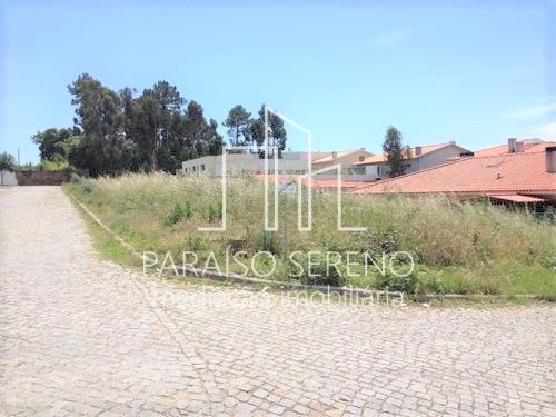 Terreno R�stico - S�o Paio de Oleiros, Santa Maria da Feira, Aveiro - Imagem grande