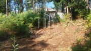 Terreno R�stico - Caldas de S�o Jorge, Santa Maria da Feira, Aveiro - Miniatura: 1/4