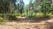 Terreno R�stico - Caldas de S�o Jorge, Santa Maria da Feira, Aveiro - Miniatura: 3/4
