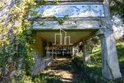 Quinta T5 - Oliveira de Azemeis, Oliveira de Azemis, Aveiro - Miniatura: 4/9