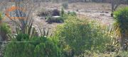 Moradia T3 - Mexilhoeira Grande, Portimo, Faro (Algarve) - Miniatura: 6/9