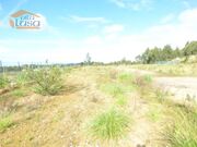 Terreno Industrial - S�o Jo�o de Ver, Santa Maria da Feira, Aveiro - Miniatura: 7/9