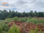 Outros - Castelo da Maia, Maia, Porto - Miniatura: 4/9