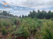 Outros - Castelo da Maia, Maia, Porto - Miniatura: 5/9