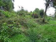 Outros - Serzedo, Vila Nova de Gaia, Porto - Miniatura: 2/5