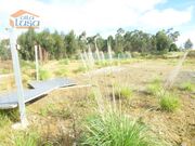 Terreno Industrial - S�o Jo�o de Ver, Santa Maria da Feira, Aveiro - Miniatura: 4/9