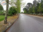 Outros - Rio de Loba, Viseu, Viseu - Miniatura: 2/5