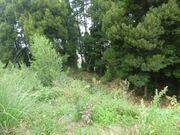 Terreno Urbano - Oliveira do Douro, Vila Nova de Gaia, Porto - Miniatura: 3/4