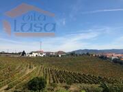 Terreno R�stico T5 - Fontelas, Peso da R�gua, Vila Real - Miniatura: 2/9