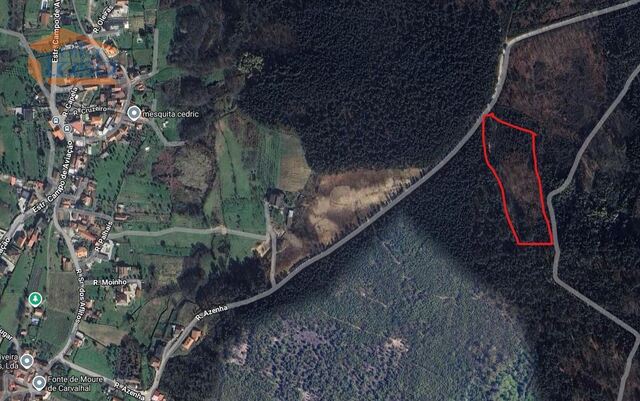 Terreno R�stico - Mund�o, Viseu, Viseu - Imagem grande