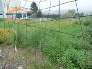 Outros - Canelas, Vila Nova de Gaia, Porto - Miniatura: 3/9