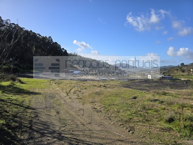 Terreno Rústico - Morreira, Braga, Braga - Imagem grande