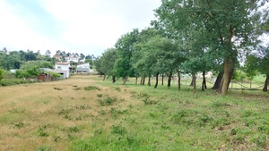 Terreno R�stico - Barreira, Leiria, Leiria