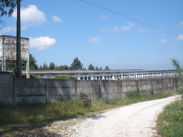 Quinta - Amor, Leiria, Leiria - Imagem grande