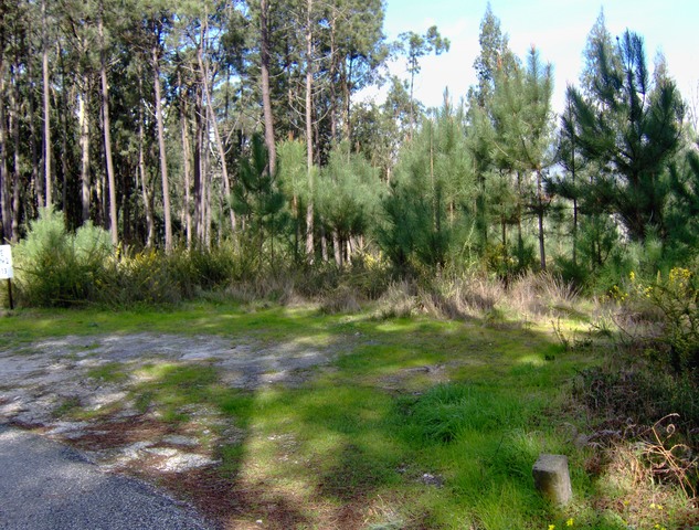 Terreno R�stico - Carvide, Leiria, Leiria - Imagem grande